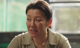 辛柏青电视剧大全,一部电视剧大全的深情回顾