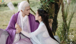 三生三世枕上书电视剧,三生三世的爱恋与奇幻之旅